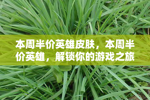 本周半价英雄皮肤图片