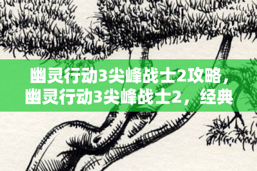 幽灵行动3尖峰战士2攻略图片