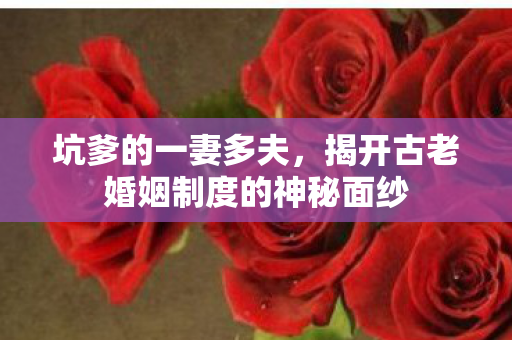 揭开古老婚姻制度的神秘面纱图片