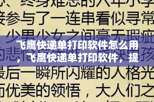 飞鹰快递单打印软件怎么用，飞鹰快递单打印软件，提升物流效率，简化操作的关键工具