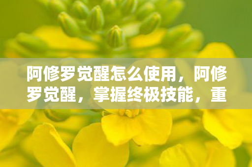 阿修罗觉醒怎么使用，阿修罗觉醒，掌握终极技能，重塑战斗格局