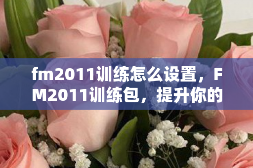 fm2011训练怎么设置图片