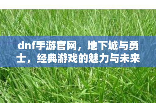 dnf手游官网，地下城与勇士，经典游戏的魅力与未来展望