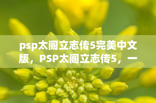 psp太阁立志传5完美中文版图片