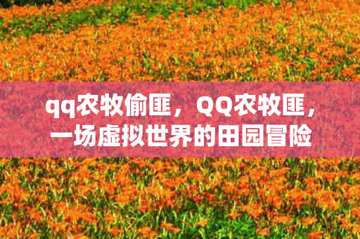 一场虚拟世界的田园冒险图片