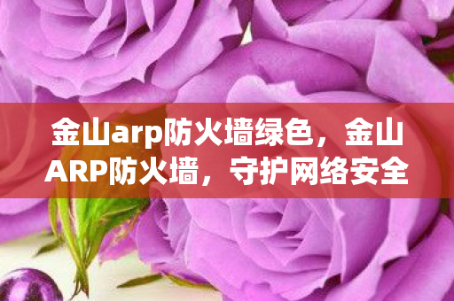 守护网络安全的重要防线图片