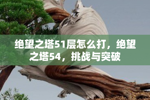 绝望之塔51层怎么打图片