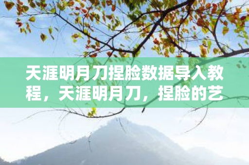 天涯明月刀捏脸数据导入教程，天涯明月刀，捏脸的艺术与魅力
