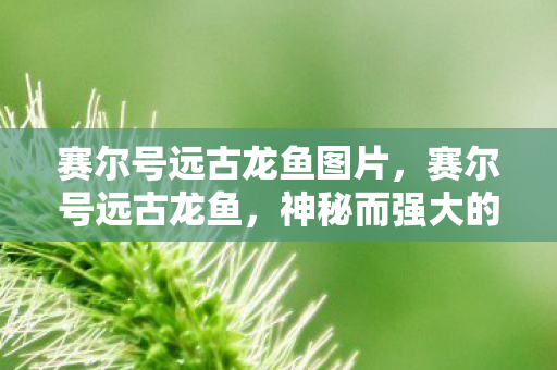 赛尔号远古龙鱼图片图片