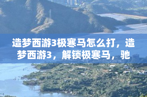 造梦西游3极寒马怎么打图片