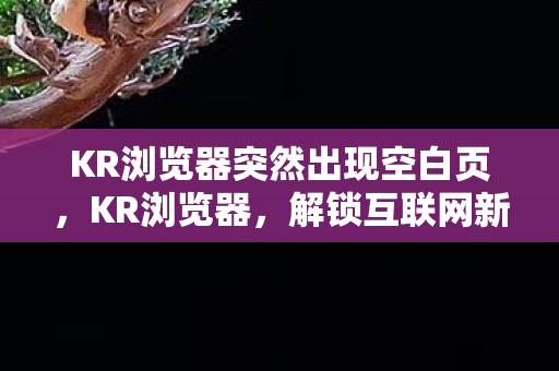 KR浏览器突然出现空白页图片