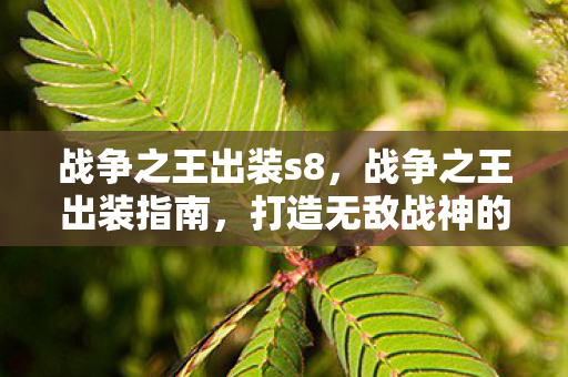 打造无敌战神的装备搭配图片