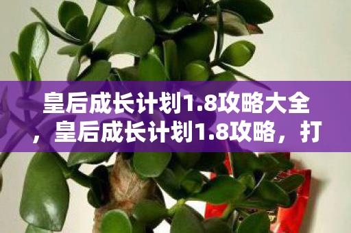 打造你的宫廷之路图片