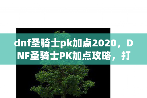 dnf圣骑士pk加点2020图片