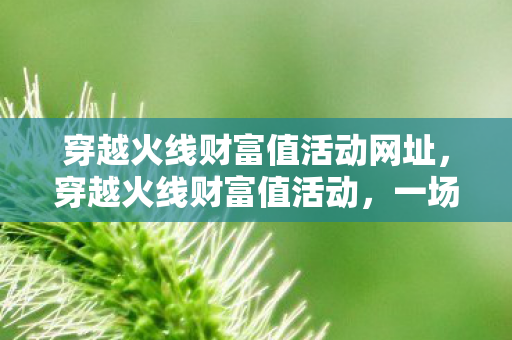 穿越火线财富值活动网址，穿越火线财富值活动，一场刺激的游戏盛宴与丰厚的奖励回馈