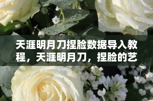 天涯明月刀捏脸数据导入教程，天涯明月刀，捏脸的艺术之旅