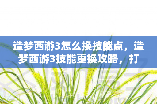 造梦西游3怎么换技能点，造梦西游3技能更换攻略，打造个性化角色，提升战斗实力