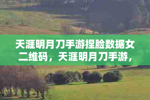 天涯明月刀手游捏脸数据女二维码，天涯明月刀手游，捏脸数据深度解析