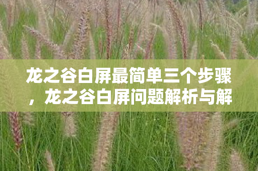 龙之谷白屏问题解析与解决指南图片