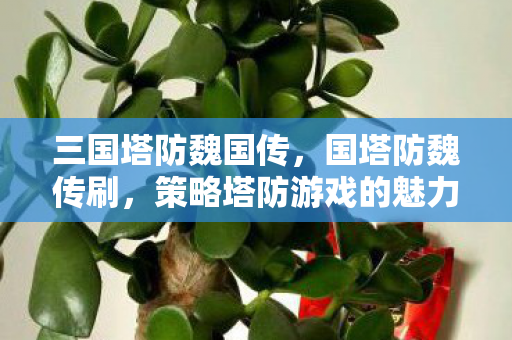 策略塔防游戏的魅力与挑战图片