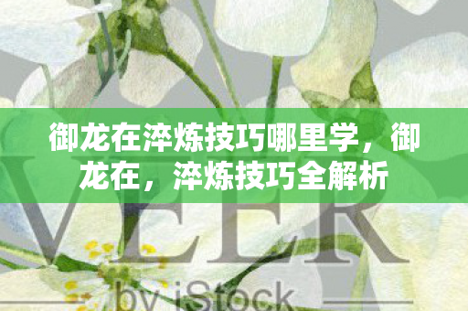 御龙在淬炼技巧哪里学图片