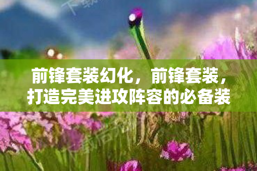 打造完美进攻阵容的必备装备图片