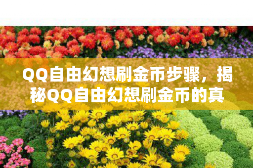 揭秘QQ自由幻想刷金币的真相与风险图片