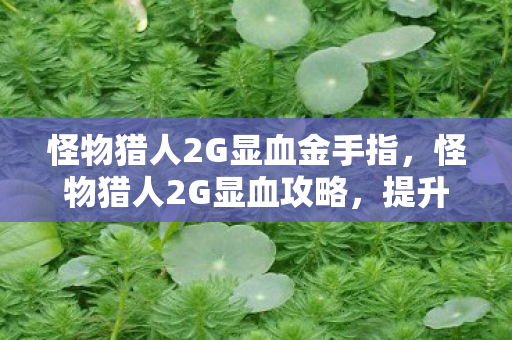 怪物猎人2G显血金手指图片