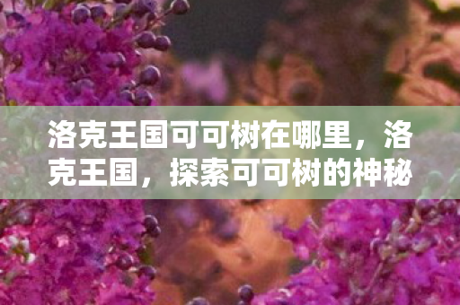 洛克王国可可树在哪里图片