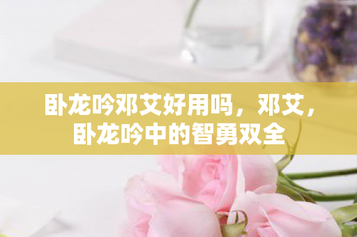 卧龙吟邓艾好用吗，邓艾，卧龙吟中的智勇双全