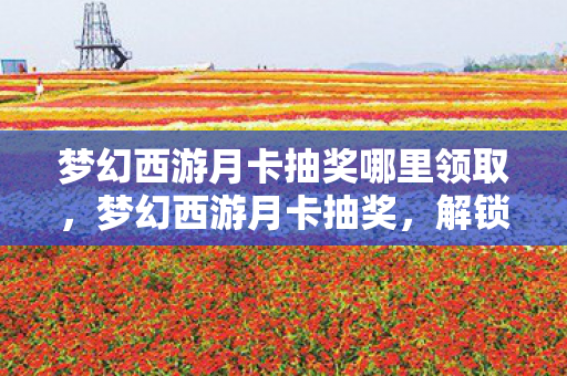 梦幻西游月卡抽奖哪里领取图片