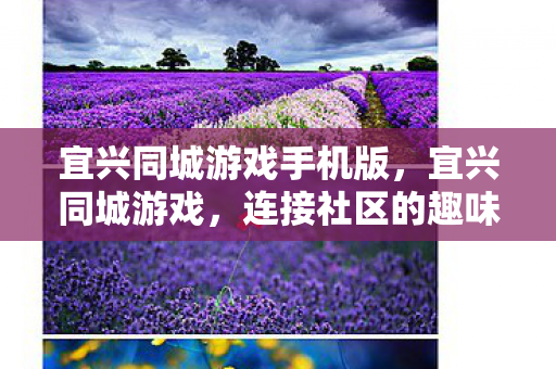 宜兴同城游戏手机版图片