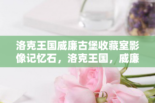 洛克王国威廉古堡收藏室影像记忆石图片