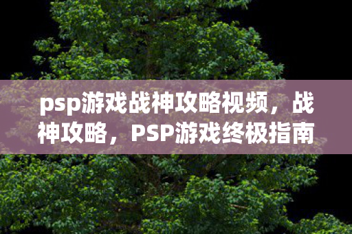 psp游戏战神攻略视频图片