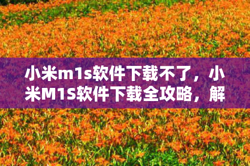 小米M1S软件下载全攻略图片