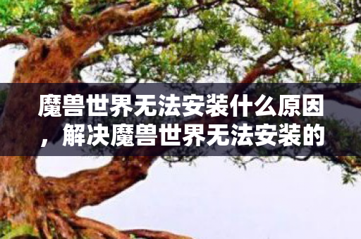 解决魔兽世界无法安装的问题图片