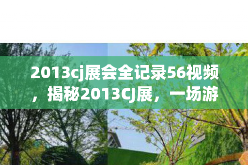 2013cj展会全记录56视频，揭秘2013CJ展，一场游戏界的盛宴