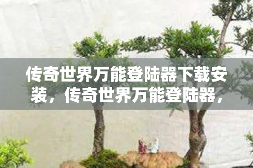 传奇世界万能登陆器下载安装，传奇世界万能登陆器，解锁便捷游戏体验的钥匙