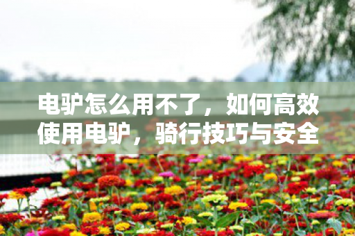 电驴怎么用不了，如何高效使用电驴，骑行技巧与安全指南