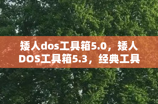 矮人dos工具箱5图片
