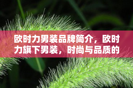 时尚与品质的完美融合图片