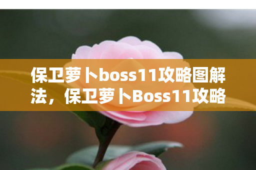 保卫萝卜boss11攻略图解法，保卫萝卜Boss11攻略，策略与技巧详解