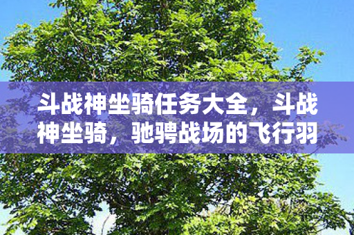 斗战神坐骑任务大全，斗战神坐骑，驰骋战场的飞行羽翼