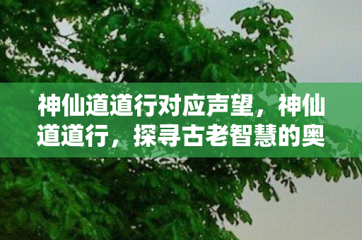 神仙道道行对应声望，神仙道道行，探寻古老智慧的奥秘