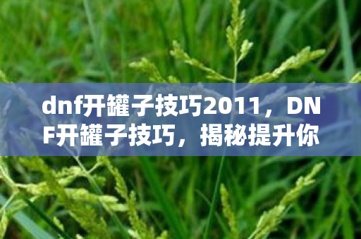 dnf开罐子技巧2011图片