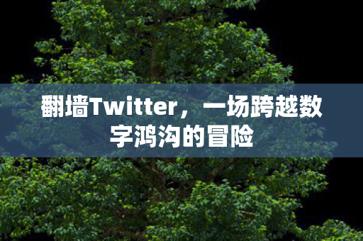 一场跨越数字鸿沟的冒险图片