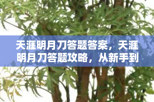 天涯明月刀答题答案，天涯明月刀答题攻略，从新手到高手的进阶之路