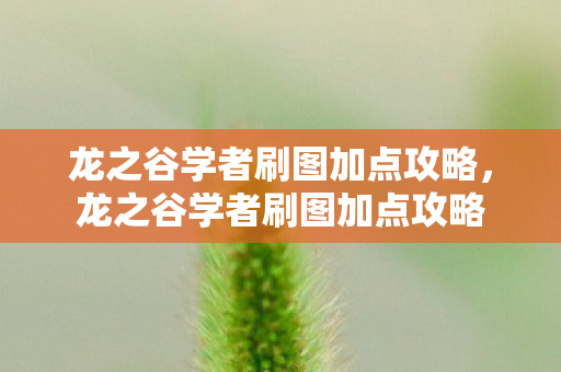 龙之谷学者刷图加点攻略，龙之谷学者刷图加点攻略