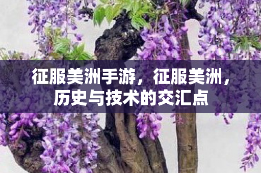 历史与技术的交汇点图片