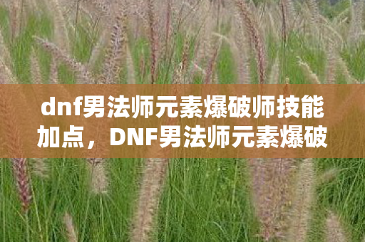 dnf男法师元素爆破师技能加点图片